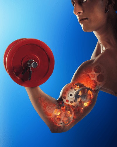 Curso:  Biomecânica aplicado ao treinamento de força na musculação